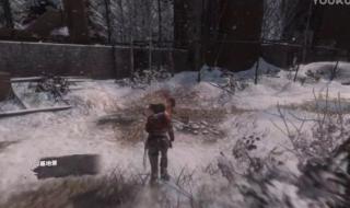 古墓丽影10崛起