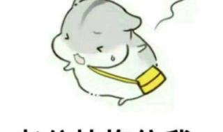 哄女人最暖心的情话