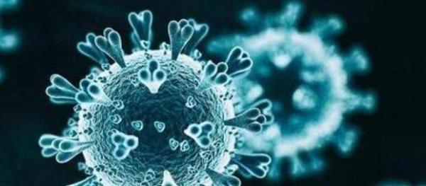 31省区市昨日新增确诊59例 31省昨日新增病例