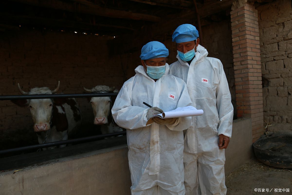 甘肃新增17例境外输入 甘肃新增10例境外输入