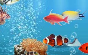 主题壁纸怎么设置 手机主题桌面壁纸