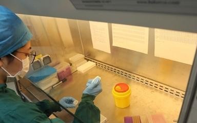 天津新增55例本土阳性 天津新增5例肺炎