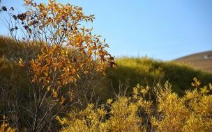 夏天露纹身的文案 夏天的约定主要人物