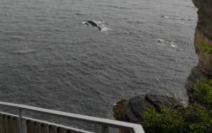 坐飞机去大连旅游攻略 大连旅游攻略自由行