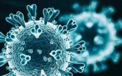 31省区市昨日新增确诊59例 31省昨日新增病例