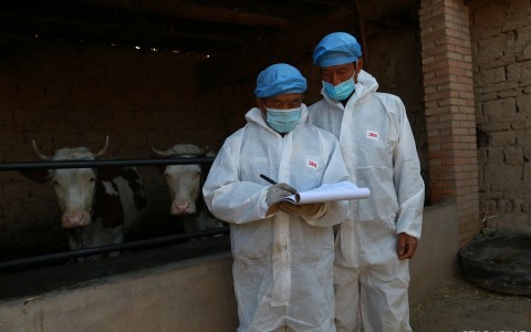 甘肃新增17例境外输入 甘肃新增10例境外输入