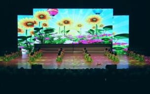 大班跳舞文案 适合幼儿园大班女孩单独表演的舞蹈有哪些