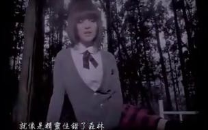 张韶涵最红的十首歌 香水百合张韶涵