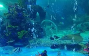 大明湖简介 大明湖海底世界景区指南