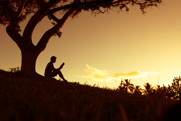 完达山添彩的配方特点 完达山婴儿配方奶粉