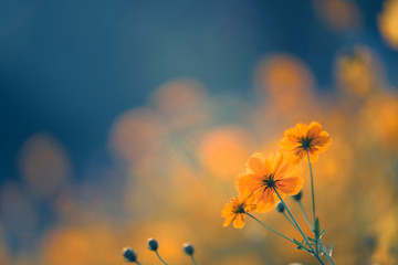 圆通快递单号怎么查询 圆通快递如何通过手机号查询订单号