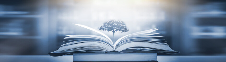 天津国家会展中心地址 天津国际贸易中心