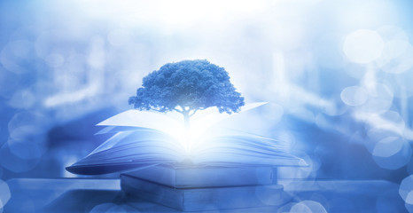 天津国家会展中心地址 天津国际贸易中心