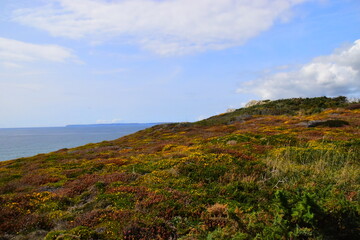完达山添彩的配方特点 完达山婴儿配方奶粉