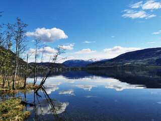 威远县向义镇静宁寺新农村建设 四川新农村建设图片