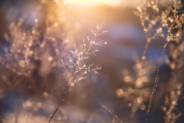 威远县向义镇静宁寺新农村建设 四川新农村建设图片