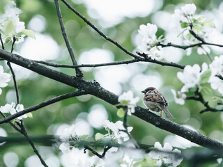 天津国家会展中心地址 天津国际贸易中心