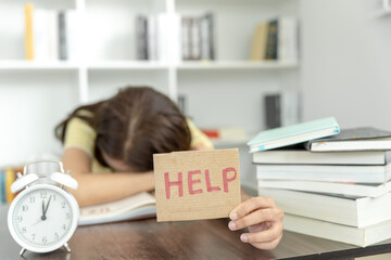 威远县向义镇静宁寺新农村建设 四川新农村建设图片