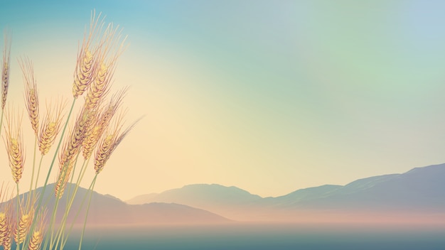 天津国家会展中心地址 天津国际贸易中心