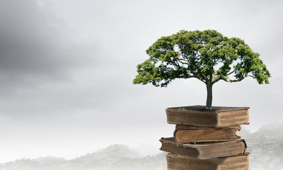 威远县向义镇静宁寺新农村建设 四川新农村建设图片