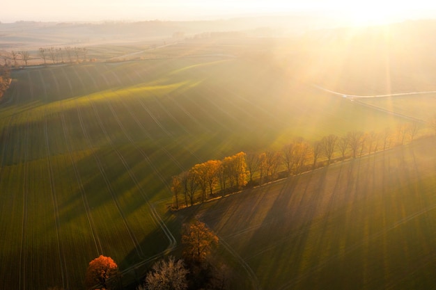 天津国家会展中心地址 天津国际贸易中心