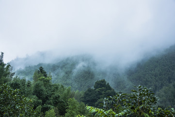 完达山添彩的配方特点 完达山婴儿配方奶粉
